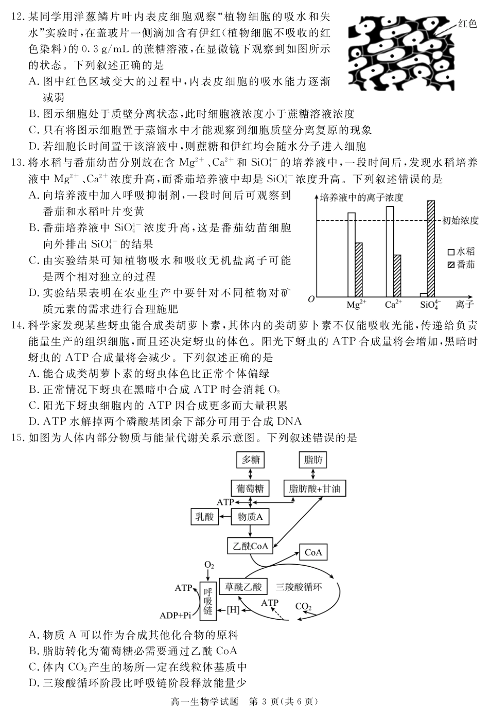 四川省自贡市、遂宁市、广安市等2024-2025学年高一上学期期末考试生物含解析.pdf_第3页