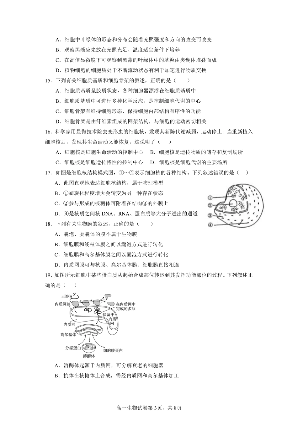 余姚中学2024学年第一学期质量检测高一生物质量检测试卷.pdf_第3页