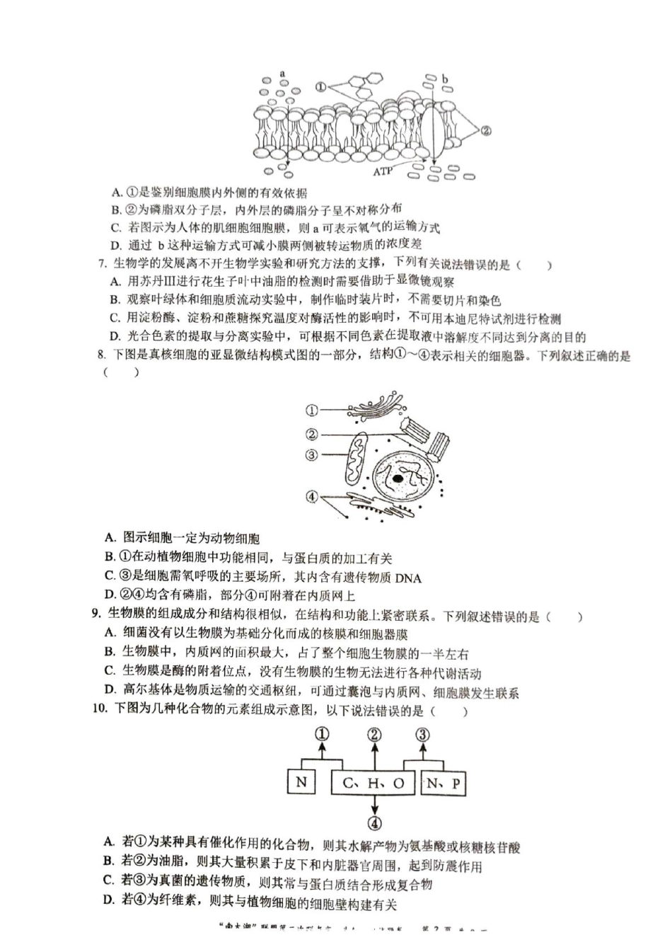 浙江省“南太湖”联盟2024-2025学年高一上学期12月第二次联考试题生物含答案.pdf_第2页