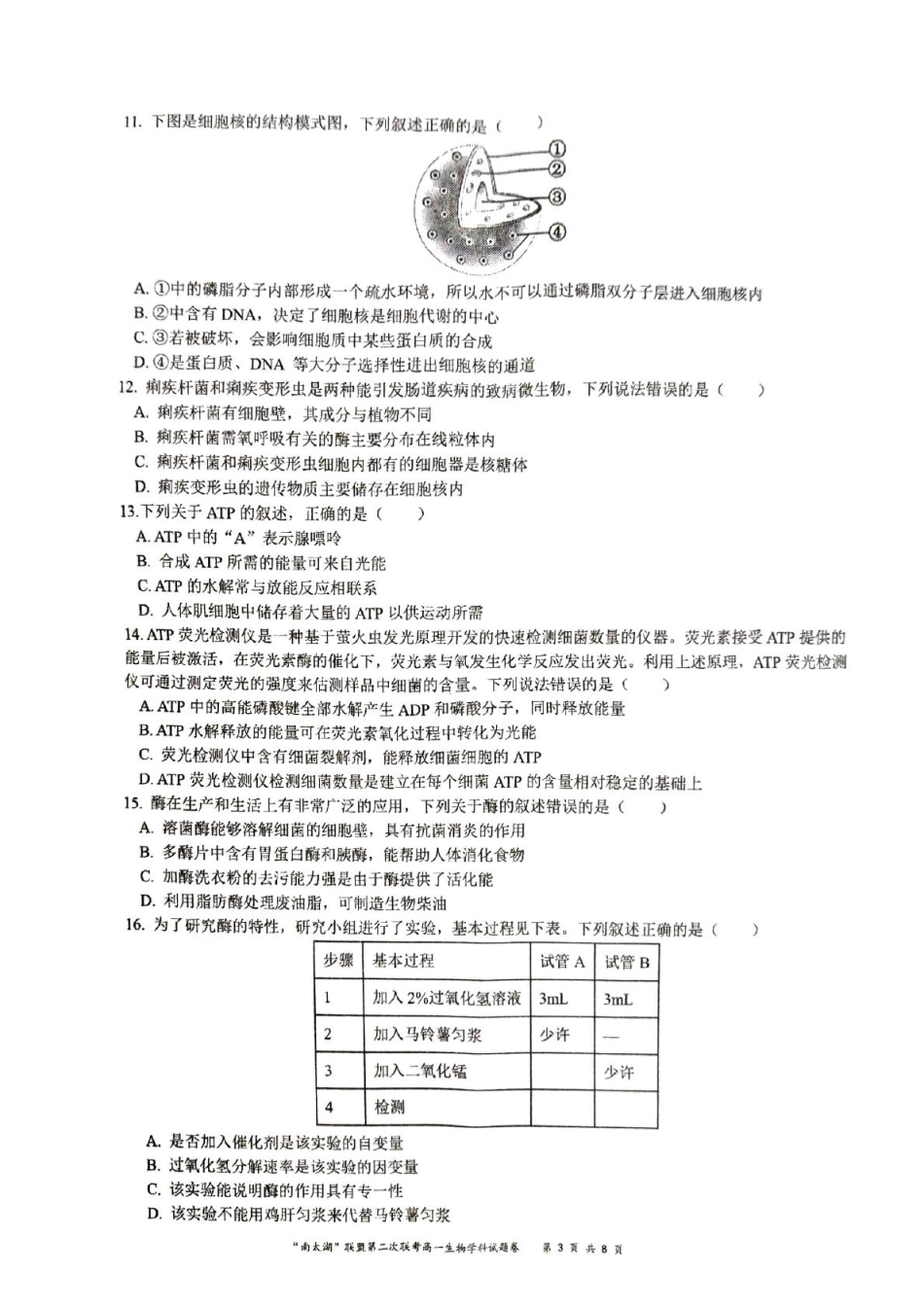 浙江省“南太湖”联盟2024-2025学年高一上学期12月第二次联考试题生物含答案.pdf_第3页
