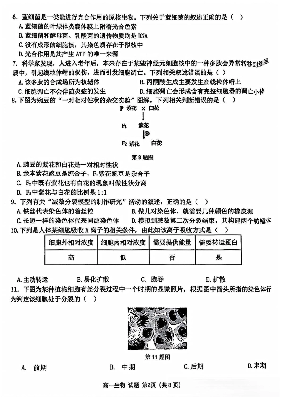 浙江省精诚联盟2024-2025学年高一下学期3月月考生物试题（含答案）.pdf_第2页