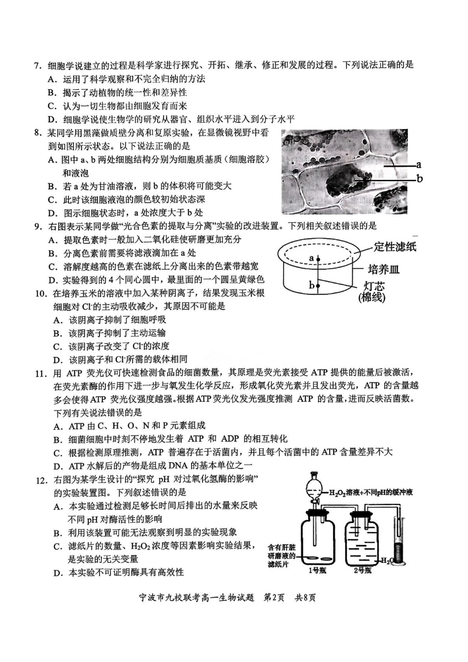 浙江省宁波市九校2024-2025学年高一上学期期末联考试题生物含答案.pdf_第2页