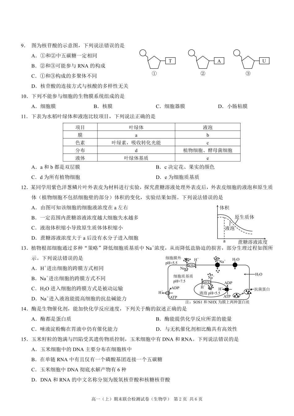 重庆高一期末考试生物.pdf_第2页