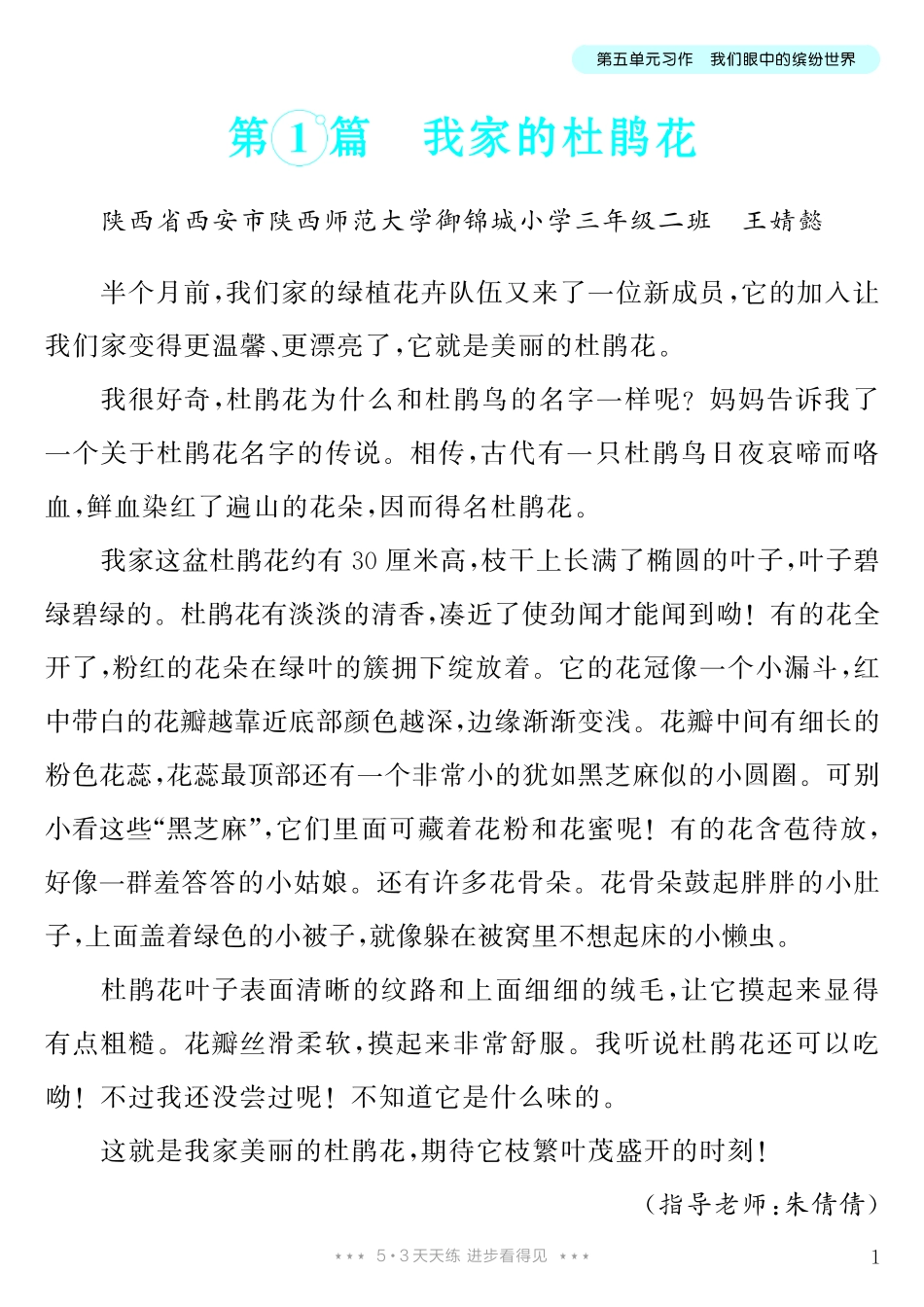 【第5单元习作：我们眼中的缤纷世界】小学作文类-《单元习作范文大全》3年级上册.pdf_第2页
