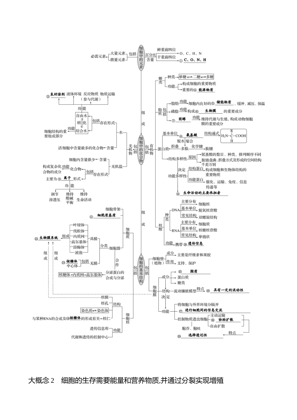 2025高考冲刺答题技巧预测生物-四　大概念自查篇　10个大概念网络务必要融会贯通.docx_第2页