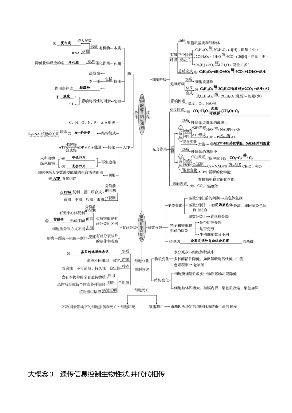 2025高考冲刺答题技巧预测生物-四　大概念自查篇　10个大概念网络务必要融会贯通.docx_第3页