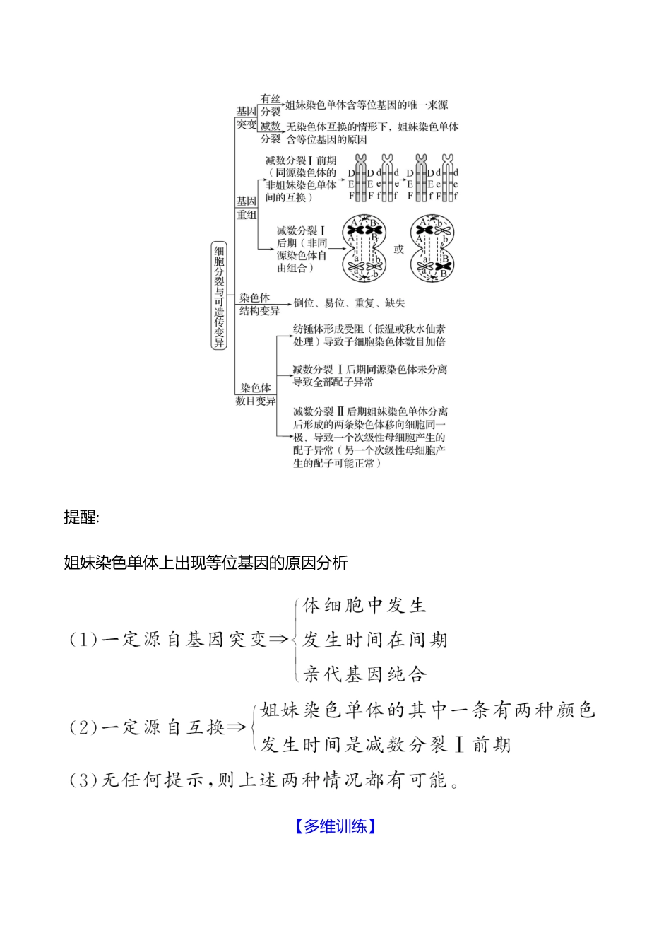 2025高考冲刺答题技巧预测生物-一　必考热点三　细胞的生命历程.docx_第3页