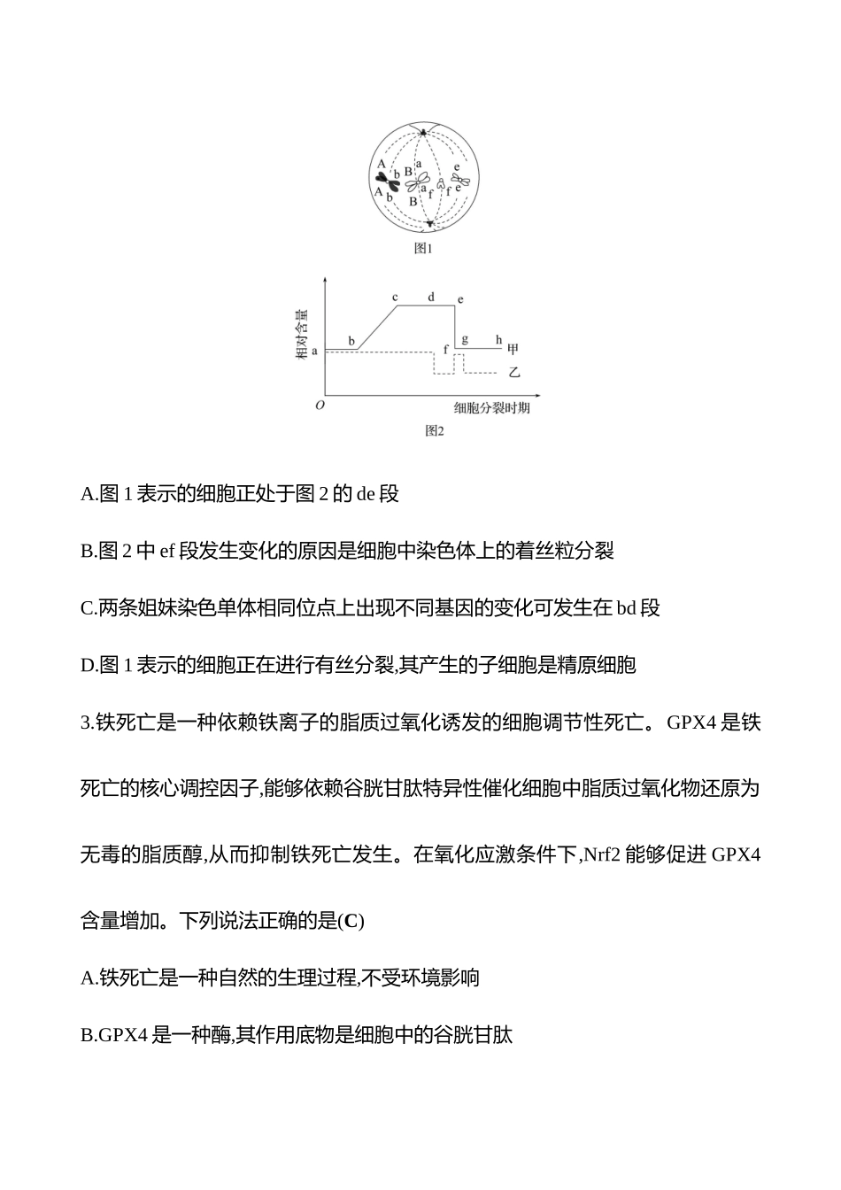 2025高考冲刺答题技巧预测生物-专题三　细胞的生命历程.docx_第2页