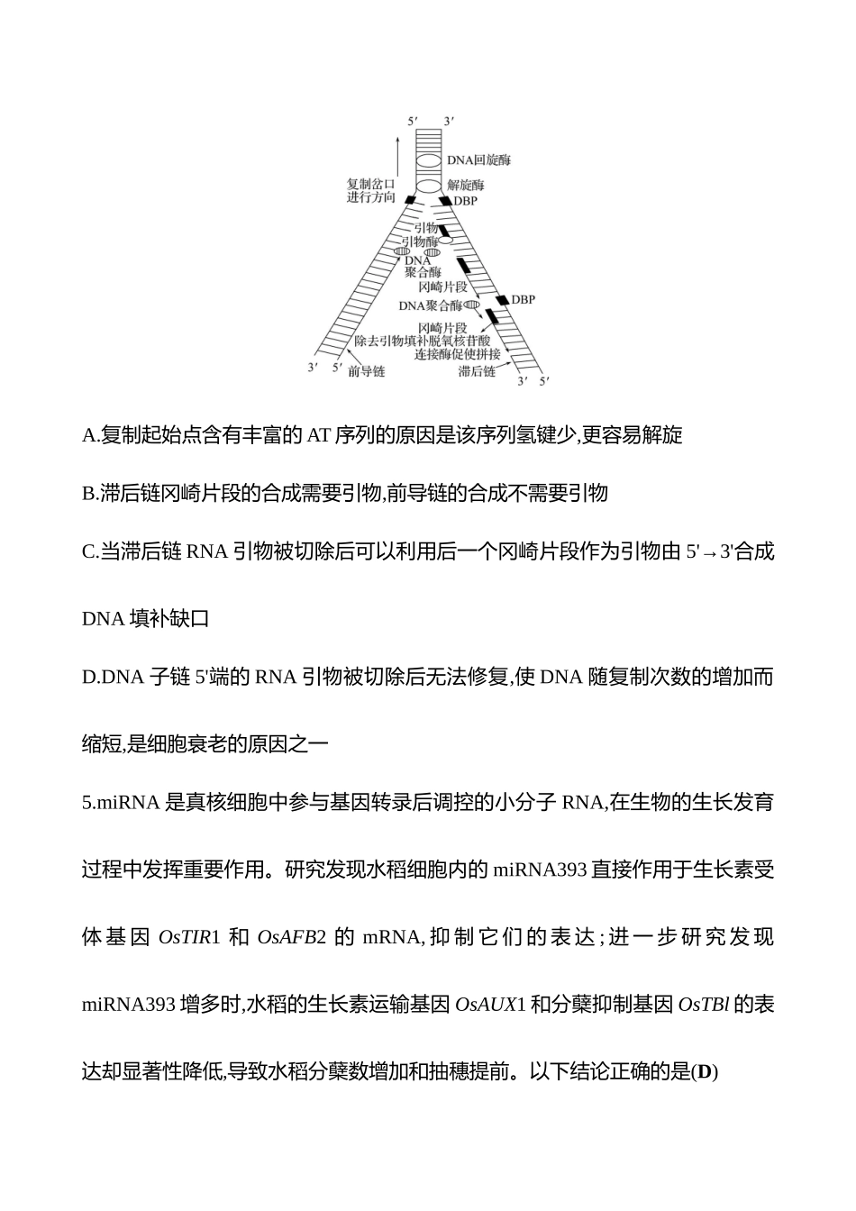 2025高考冲刺答题技巧预测生物-专题五　遗传的分子基础.docx_第3页