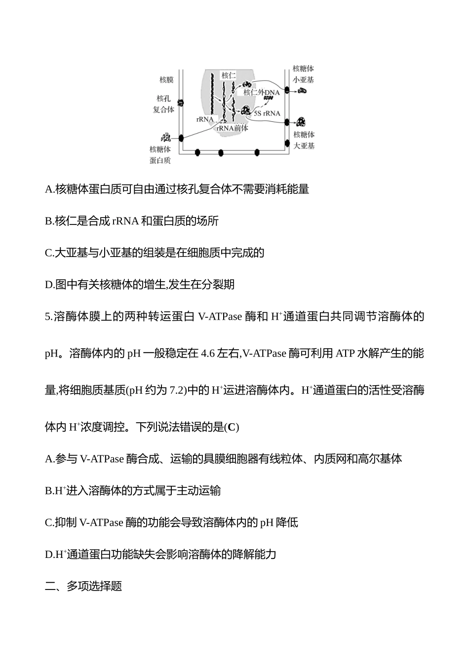 2025高考冲刺答题技巧预测生物-专题一　细胞的分子组成、结构和功能.docx_第3页
