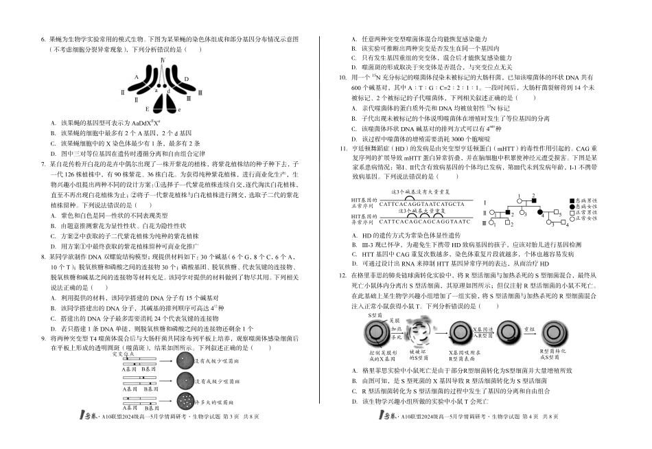 【生物（B卷）】1号卷A10联盟2024级高一5月学情调研考.pdf_第2页