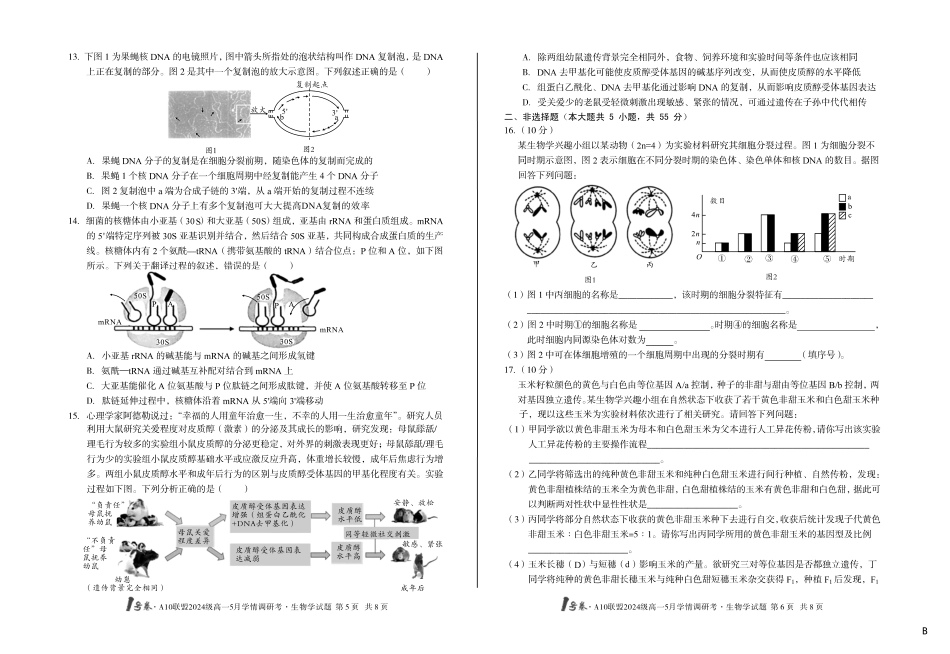 【生物（B卷）】1号卷A10联盟2024级高一5月学情调研考.pdf_第3页