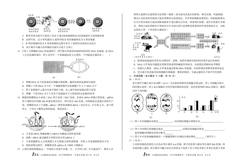 【生物】1号卷A10联盟2024级高一5月学情调研考.pdf_第3页