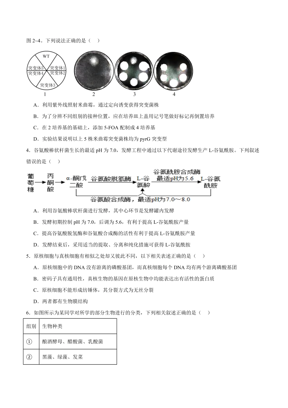 福建省厦门双十中学2024-2025学年高二下学期4月期中考试生物含答案.pdf_第2页