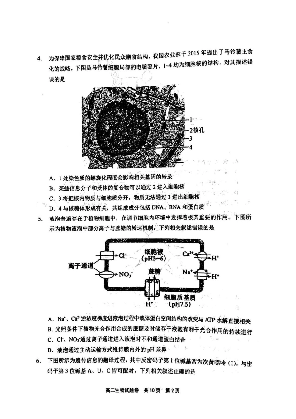 河南省安鹤新联盟2024-2025学年高二下学期5月联考生物试卷（含答案）.pdf_第2页