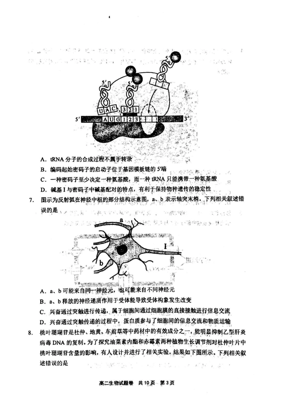 河南省安鹤新联盟2024-2025学年高二下学期5月联考生物试卷（含答案）.pdf_第3页