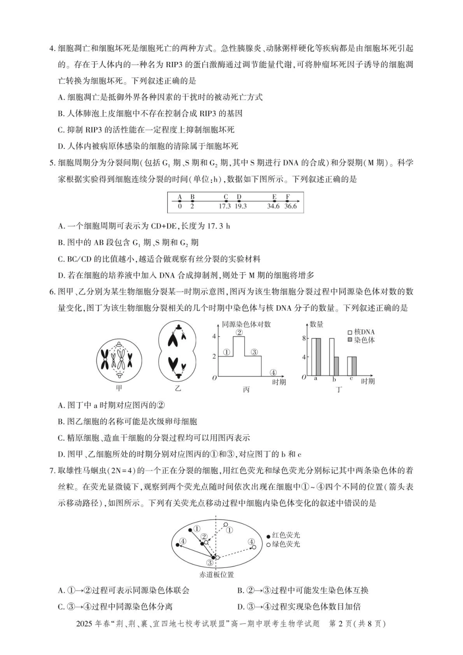 湖北“荆、荆、襄、宜四地七校考试联盟”2024-2025学年高一下学期期中联考生物试卷.pdf_第2页