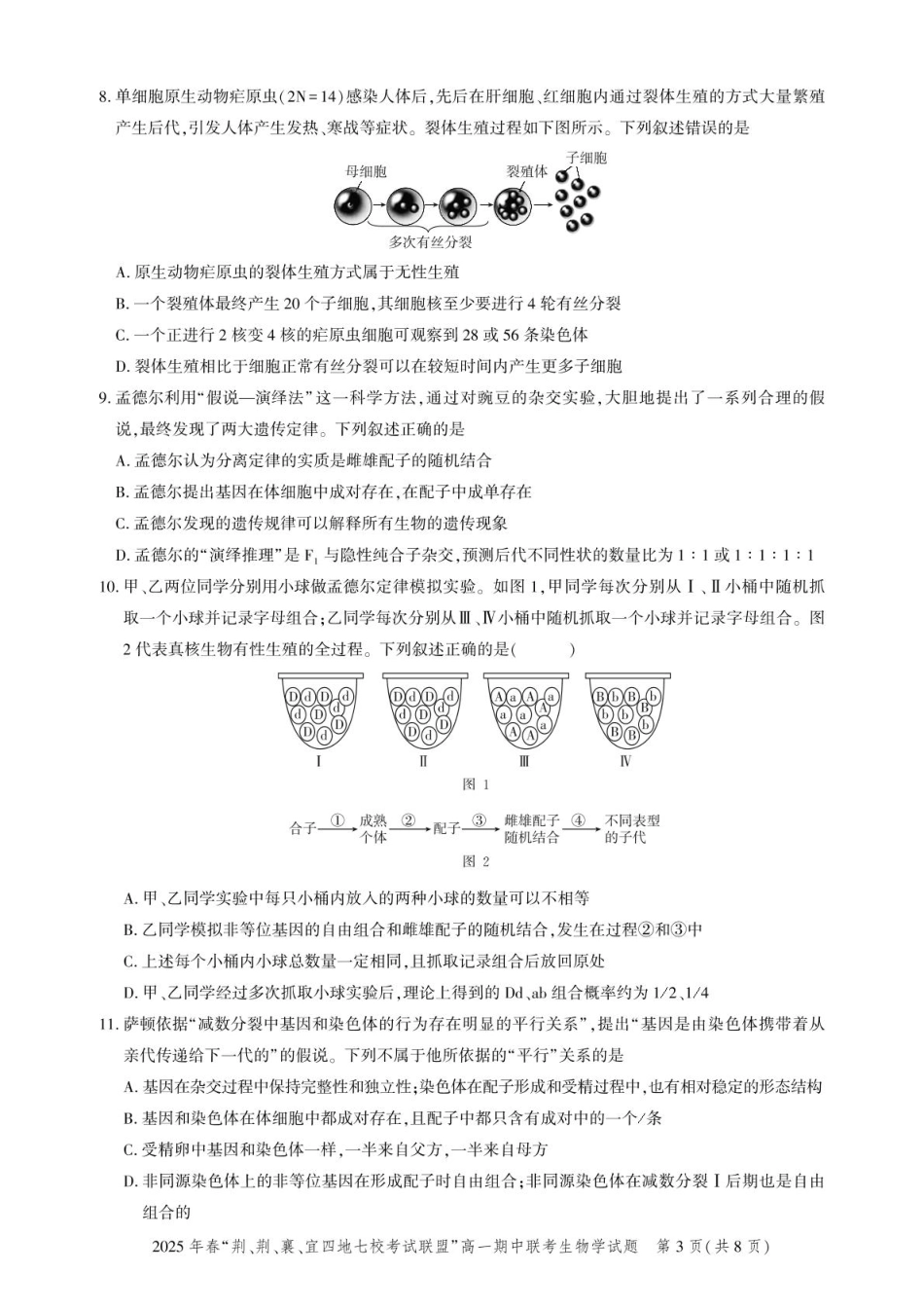 湖北“荆、荆、襄、宜四地七校考试联盟”2024-2025学年高一下学期期中联考生物试卷.pdf_第3页
