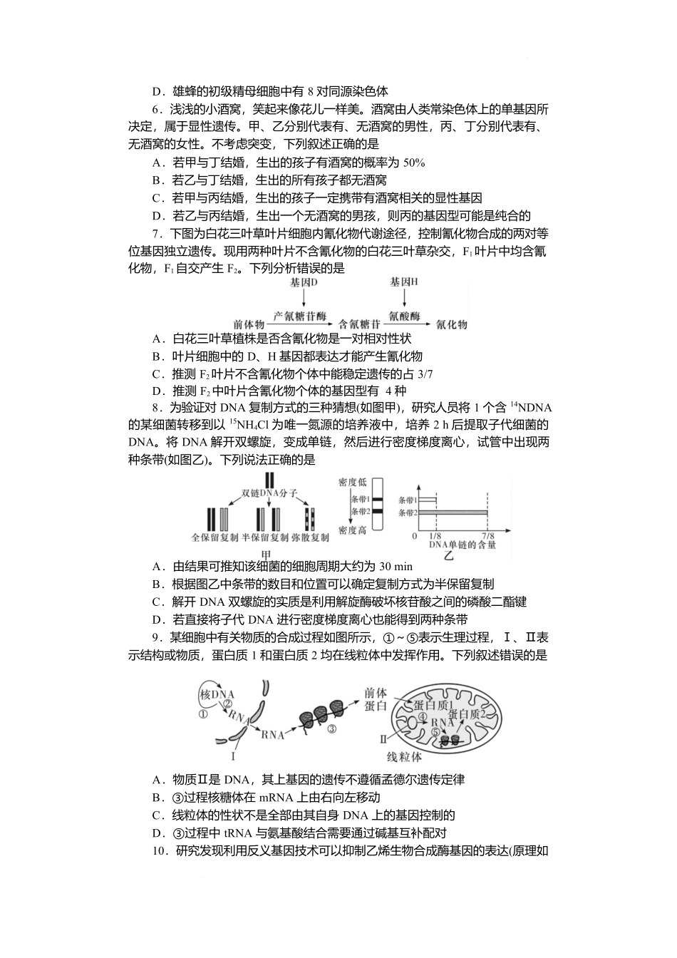 湖南省长沙市湖南师范大学附属中学2024-2025学年高一下学期5月月考生物.docx_第2页