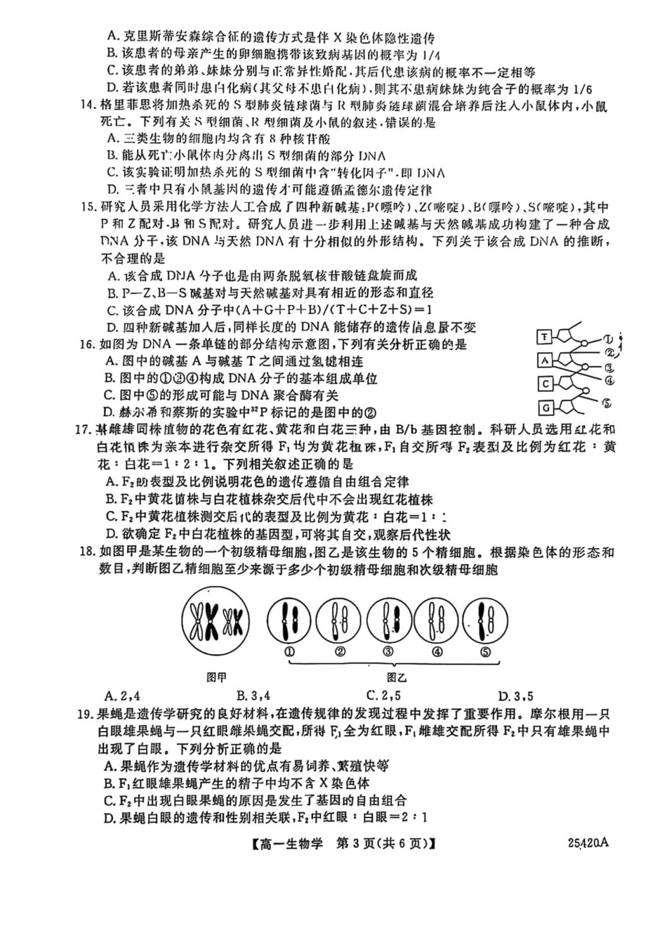 吉林省松原市2024-2025学年高一下学期期中考试生物试卷（含答案）.pdf_第3页