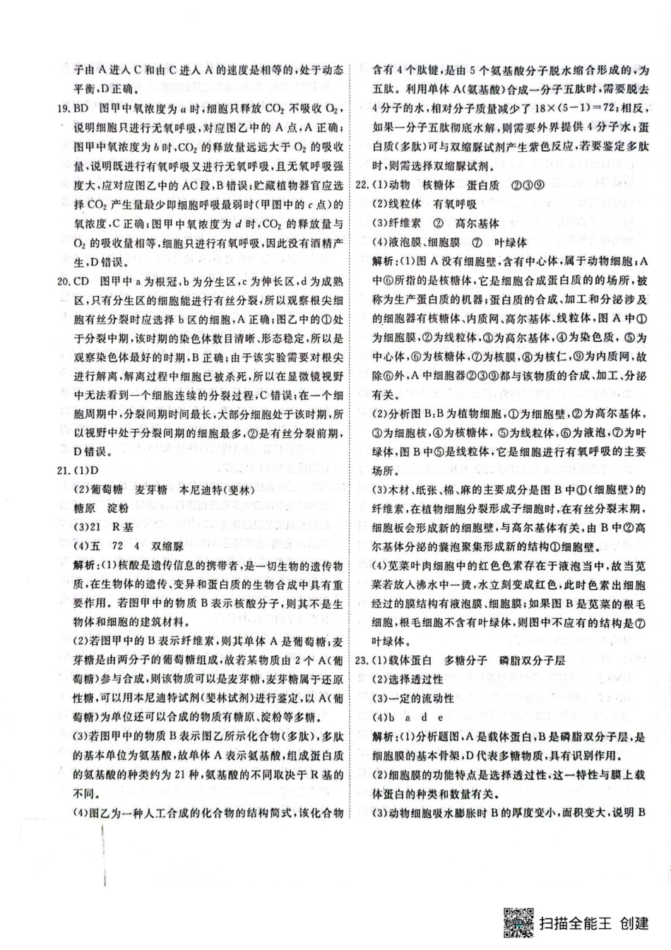 江西省赣州市大余县部分学校2024-2025学年高一下学期4月期中联考生物答案.pdf_第3页