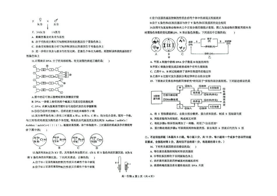 辽宁省鞍山市2024-2025学年高一下学期期中考试生物（A）含答案【KS5U高考】.pdf_第2页