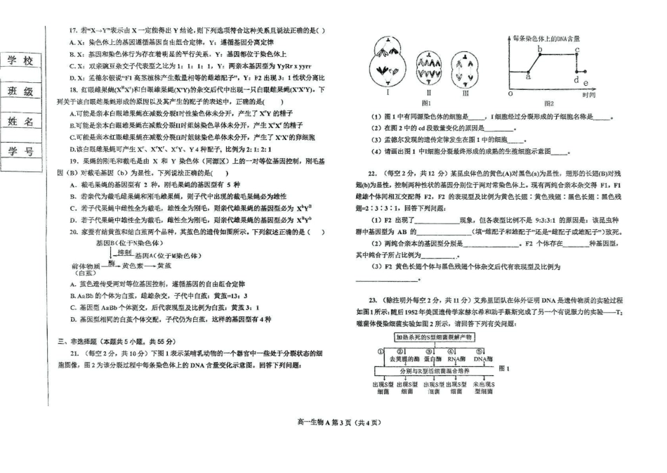 辽宁省鞍山市2024-2025学年高一下学期期中考试生物（A）含答案【KS5U高考】.pdf_第3页