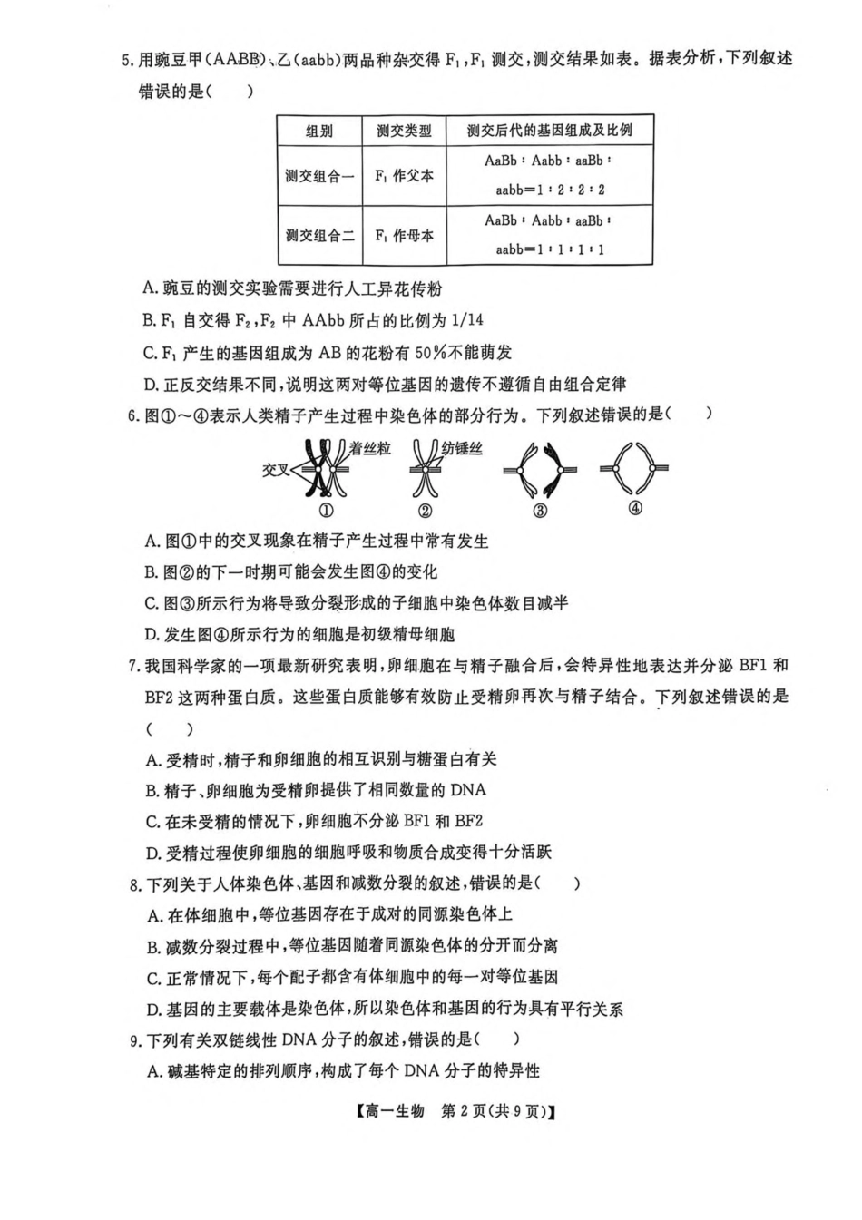辽宁省大连市滨城高中联盟2024-2025学年高一下学期5月份期中考试生物试卷（扫描版无答案）.pdf_第2页
