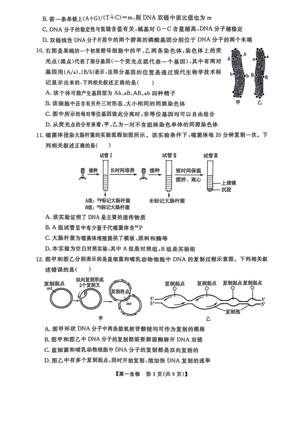 辽宁省大连市滨城高中联盟2024-2025学年高一下学期5月份期中考试生物试卷（扫描版无答案）.pdf_第3页