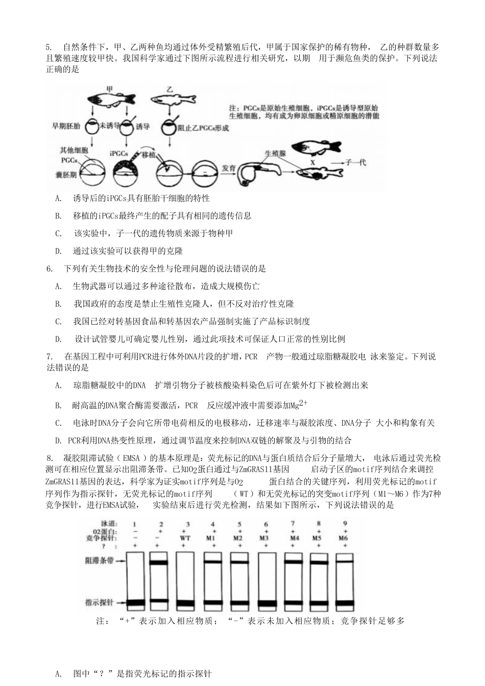 山东省泰安市2024-2025学年高二下学期4月期中考试生物含答案.pdf_第2页