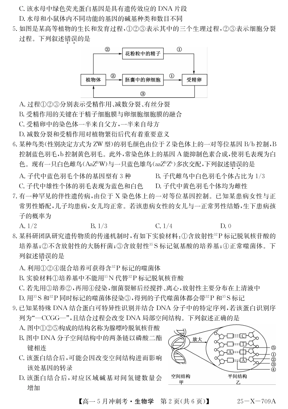 山西省卓越联盟2024-2025学年高一下学期5月冲刺考试25-X-709A-生物ZQ.pdf_第2页