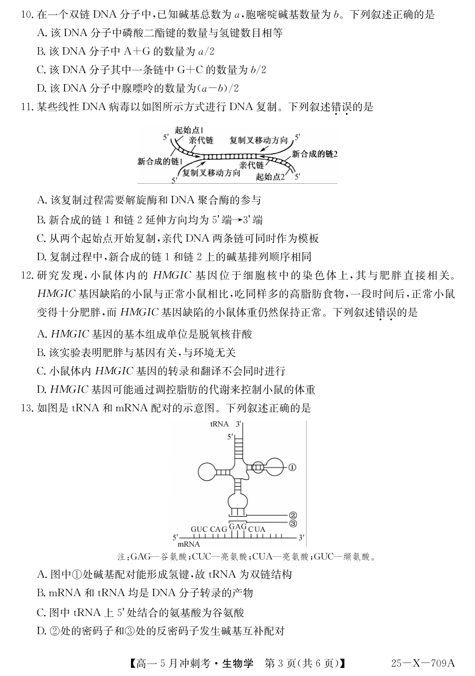 山西省卓越联盟2024-2025学年高一下学期5月冲刺考试25-X-709A-生物ZQ.pdf_第3页
