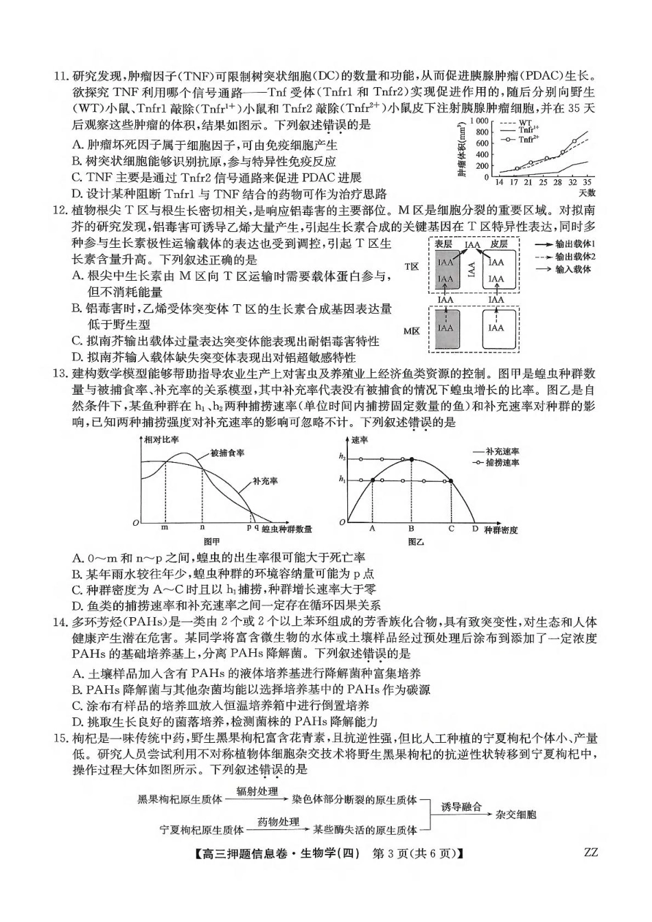 生物试卷（下标ZZ）-押题信息卷（四）【多考区卷】【九师联盟】九师联盟2025届高三押题信息卷（四）（6.2-6.3）.pdf_第3页