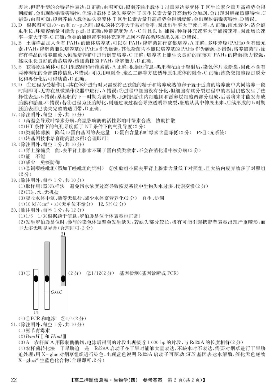 生物试卷（下标ZZ）-押题信息卷（四）答案【多考区卷】【九师联盟】九师联盟2025届高三押题信息卷（四）（6.2-6.3）.pdf_第2页