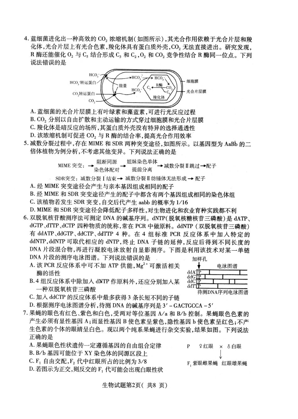 生物试卷（招远三模）【山东卷】山东省烟台市招远市2025年全国新课标I卷模拟试卷暨烟台招远第三次质量检测（烟台招远三模）（5.26-5.28）.pdf_第2页