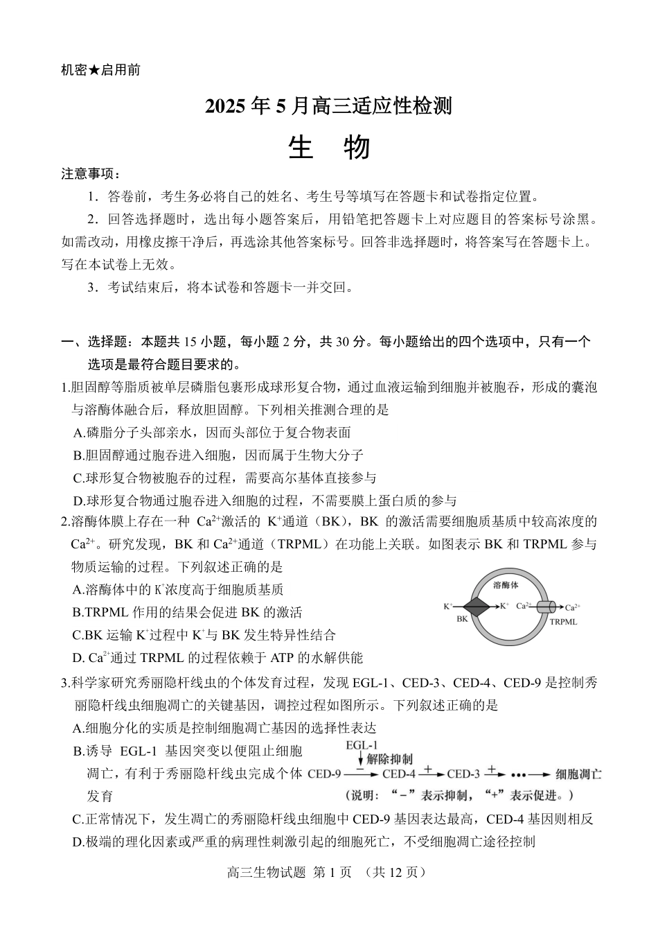 生物试卷【百强校】【山东卷】山东省山东师范大学附属中学2025年5月高三适应性检测测试（5.25-5.26）.pdf_第1页