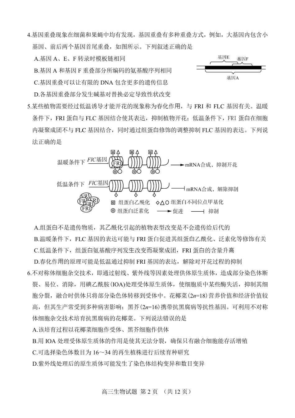 生物试卷【百强校】【山东卷】山东省山东师范大学附属中学2025年5月高三适应性检测测试（5.25-5.26）.pdf_第2页