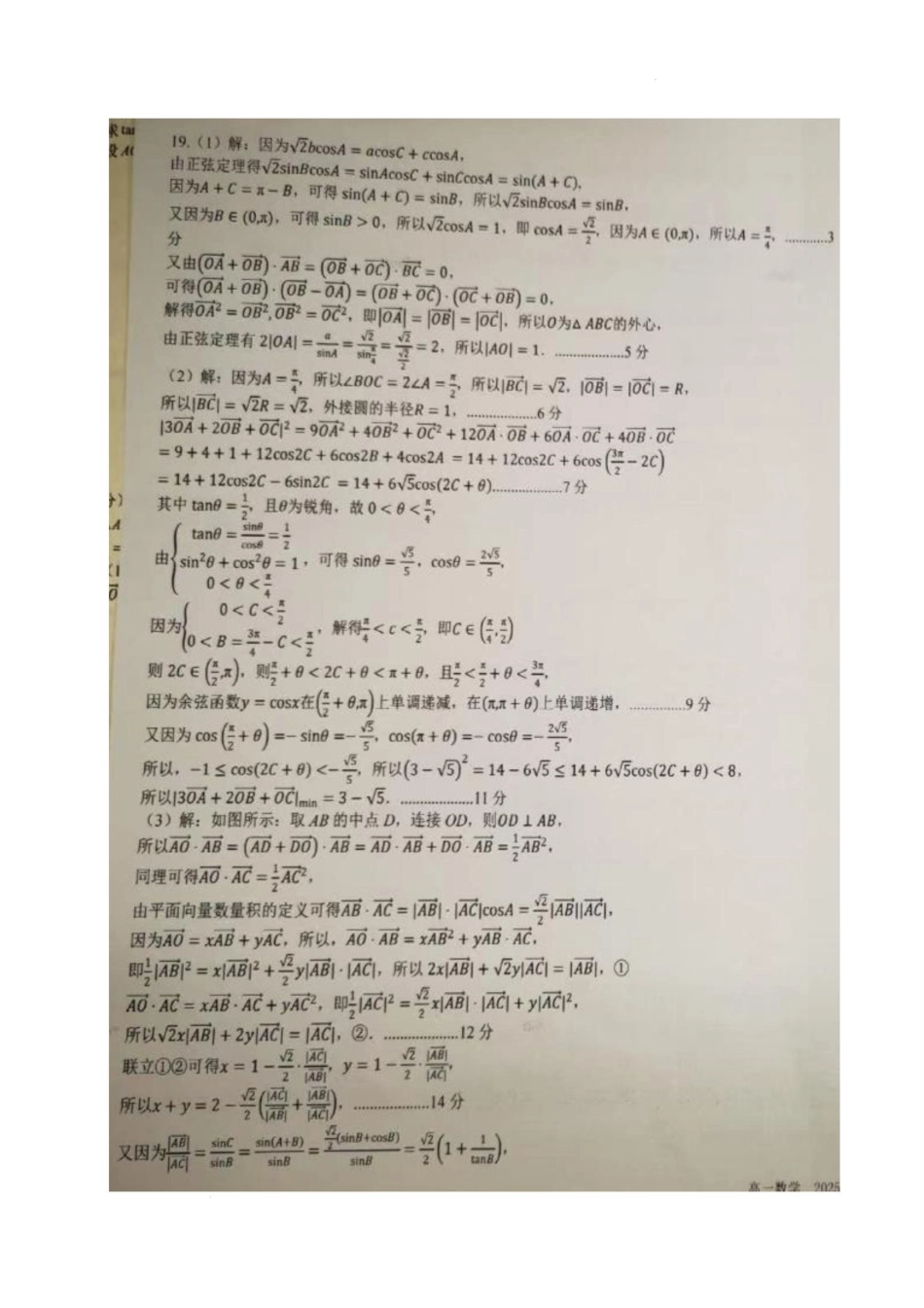 四川省成都市树德中学2024-2025学年高一下学期5月月考数学答案.pdf_第3页