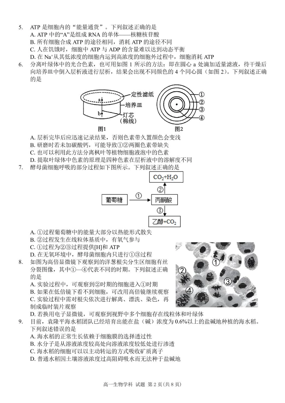 浙江省浙东北县域名校发展联盟（ZDB）2024-2025学年高一下学期4月期中生物试题.pdf_第2页