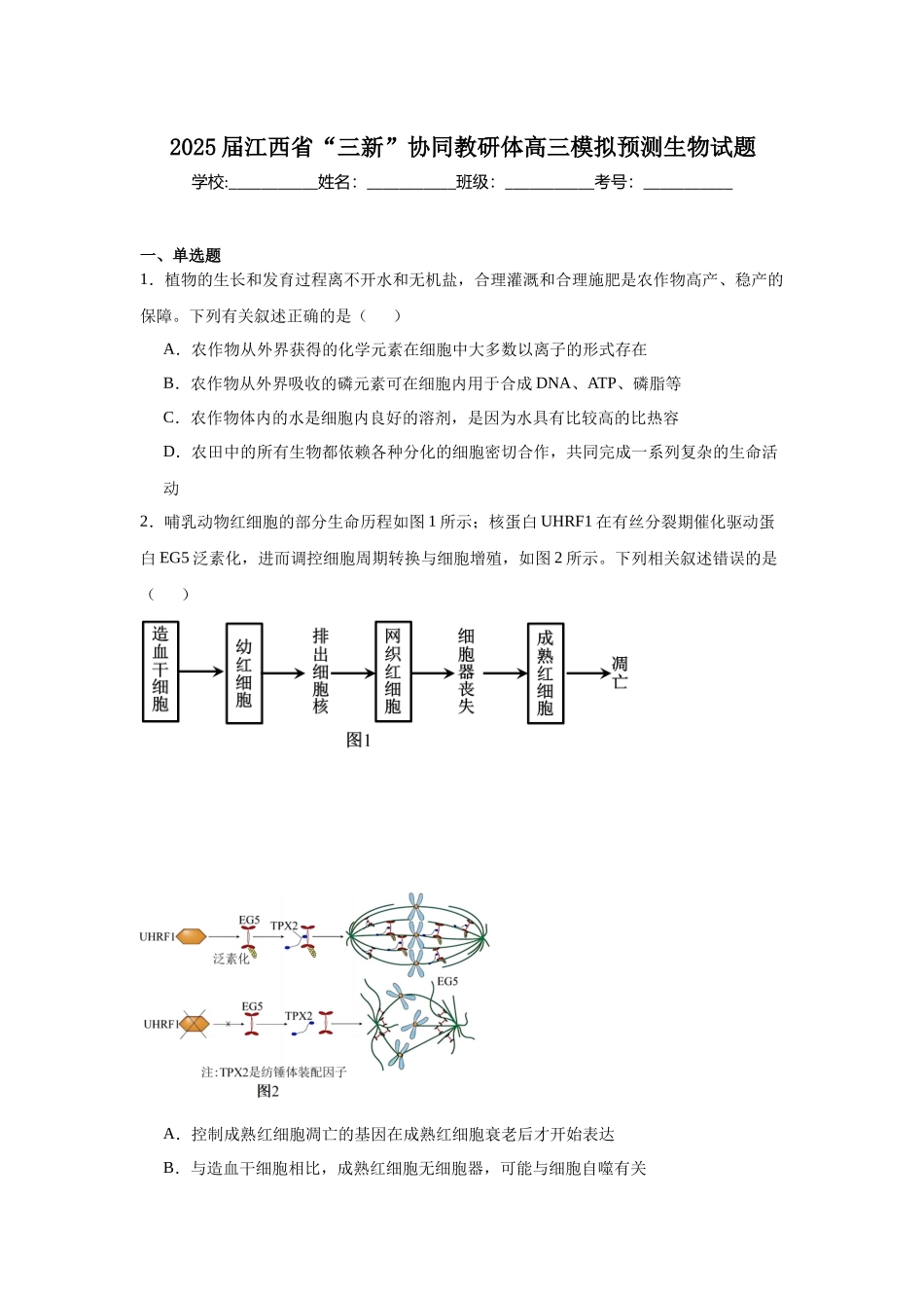 2025届江西省“三新”协同教研体高三模拟预测生物试题.docx_第1页