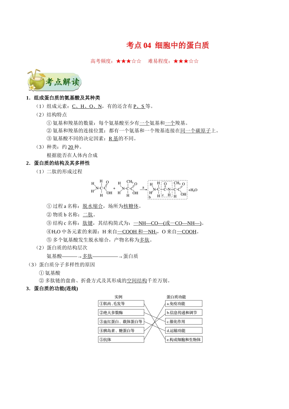 2025年考点一遍过高考生物-考点04细胞中的蛋白质.doc_第1页