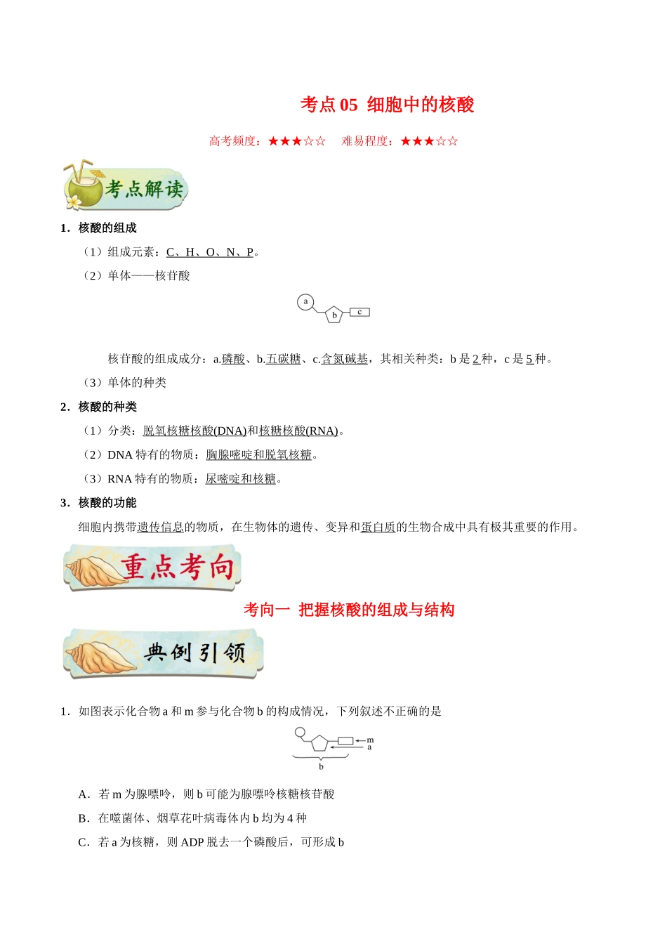 2025年考点一遍过高考生物-考点05细胞中的核酸.doc_第1页