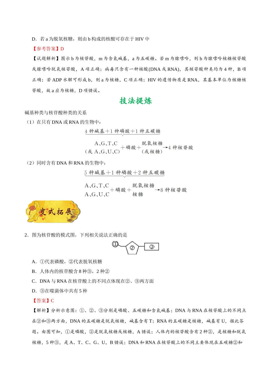 2025年考点一遍过高考生物-考点05细胞中的核酸.doc_第2页
