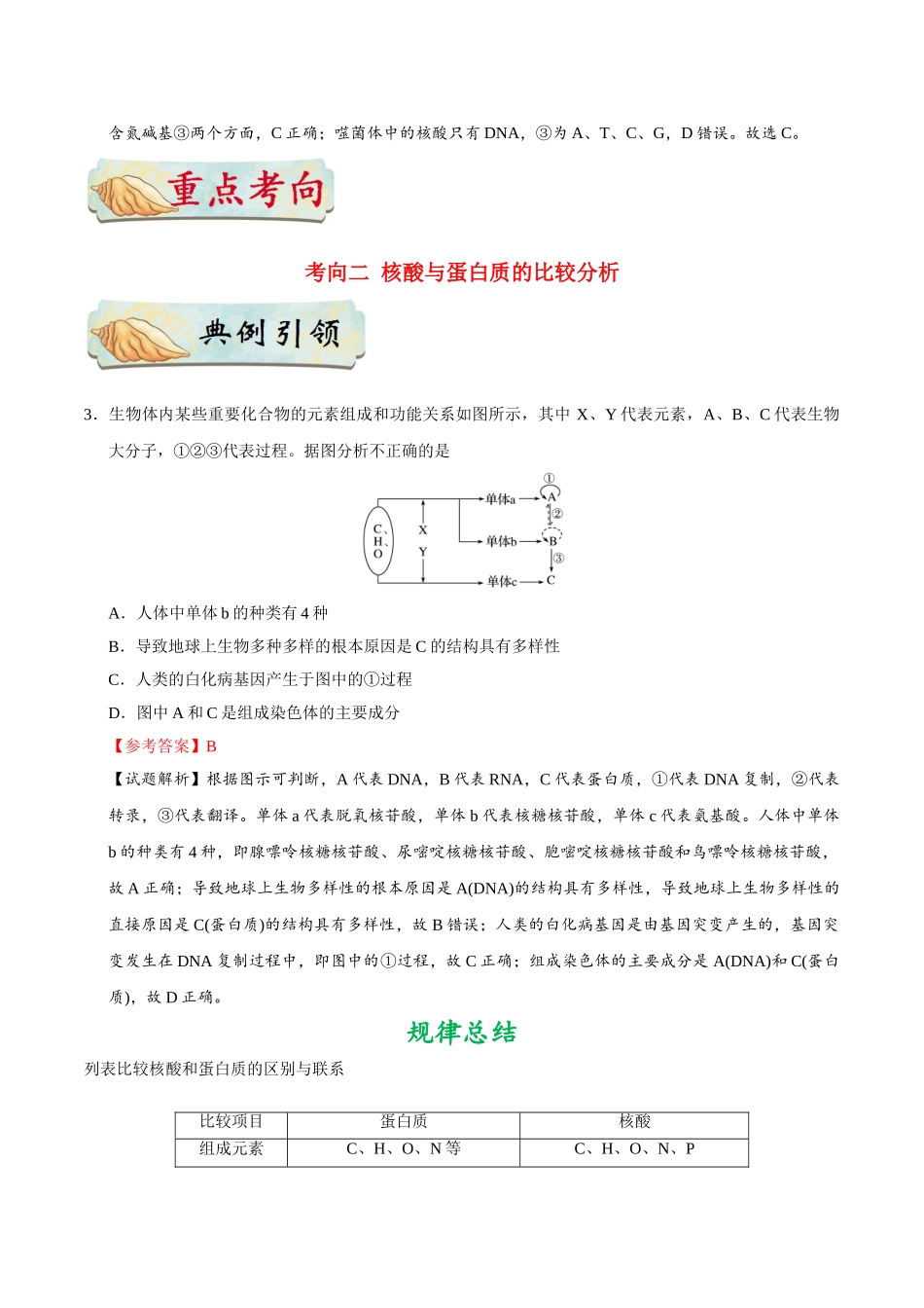 2025年考点一遍过高考生物-考点05细胞中的核酸.doc_第3页