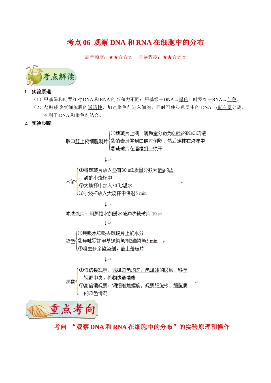 2025年考点一遍过高考生物-考点06观察DNA和RNA在细胞中的分布.doc_第1页