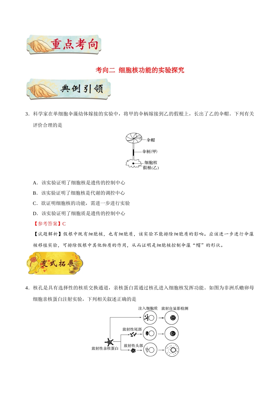 2025年考点一遍过高考生物-考点09细胞核的结构与功能.doc_第3页