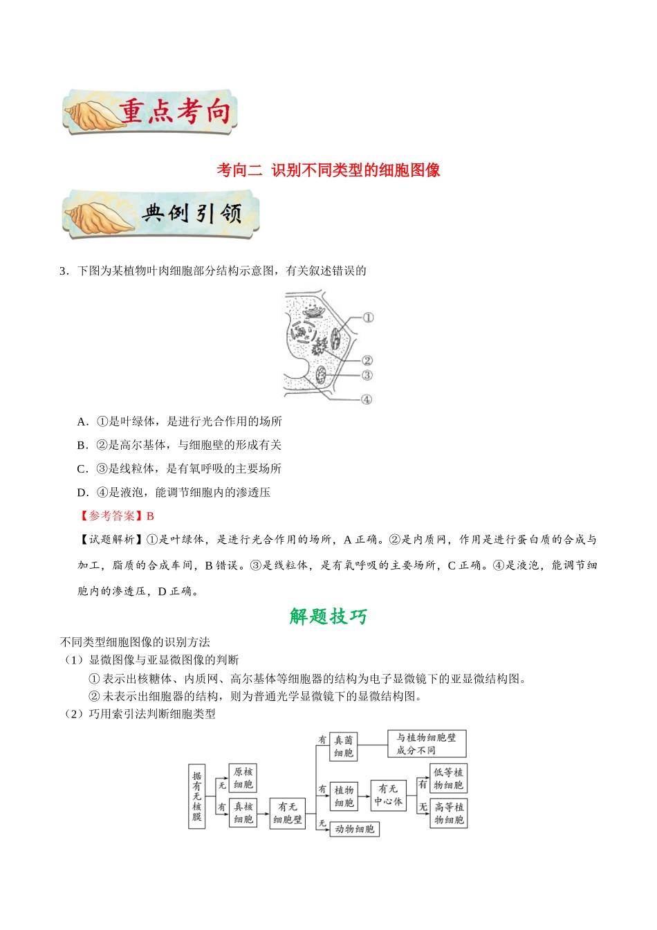 2025年考点一遍过高考生物-考点10细胞器的结构和功能.doc_第3页