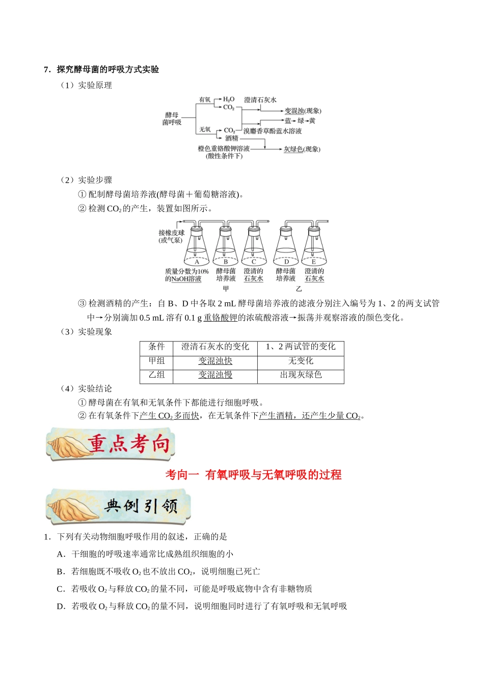 2025年考点一遍过高考生物-考点17细胞呼吸.doc_第3页
