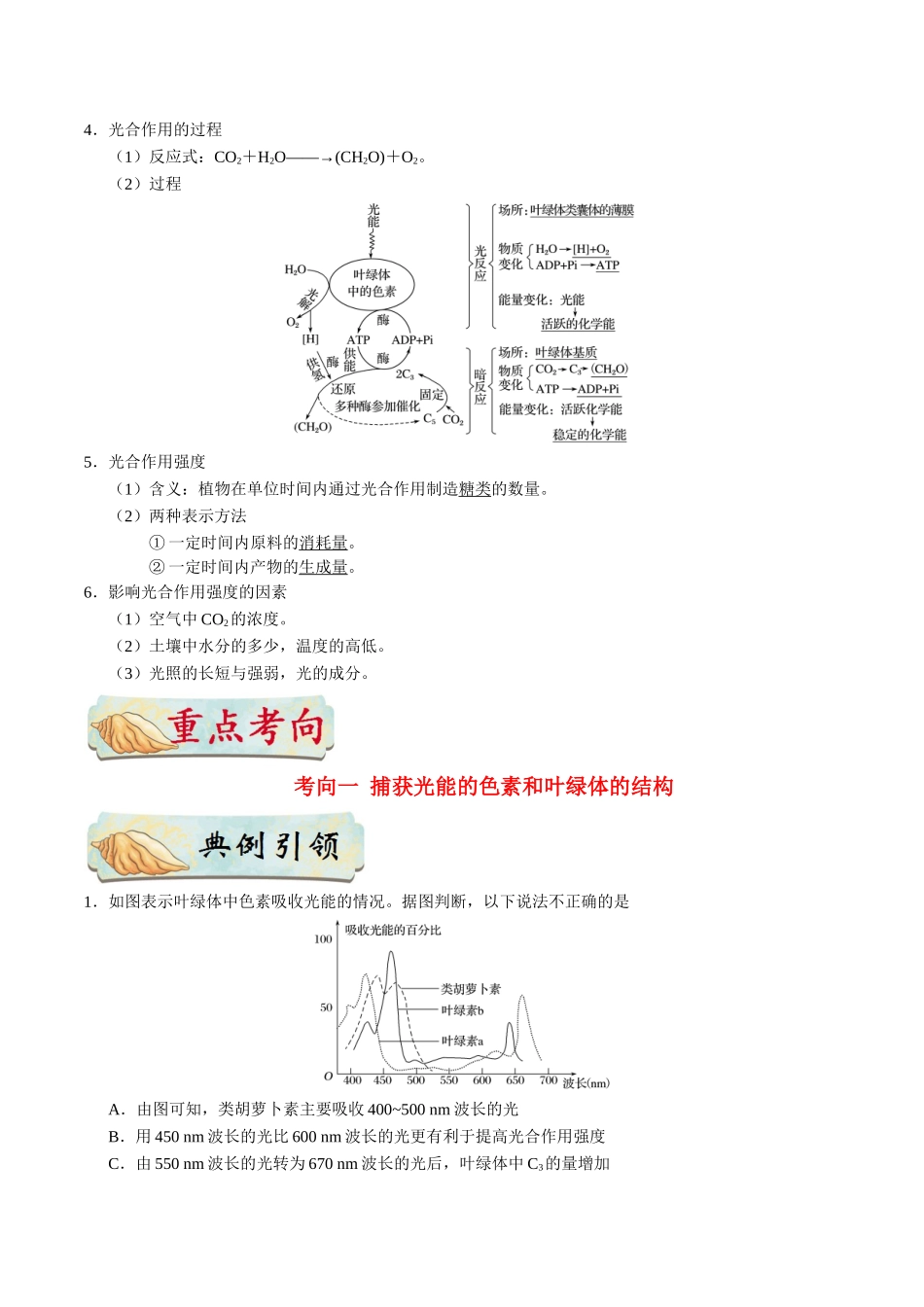2025年考点一遍过高考生物-考点19光合作用.doc_第2页