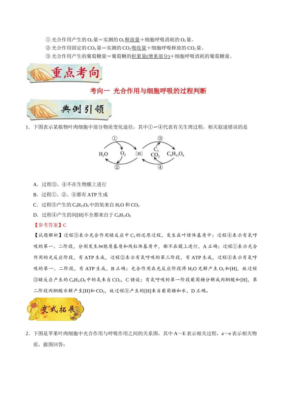 2025年考点一遍过高考生物-考点20光合作用和细胞呼吸的综合.doc_第2页